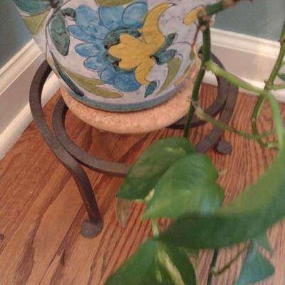 Live Plant in Ceramic Pot with Metal Stand