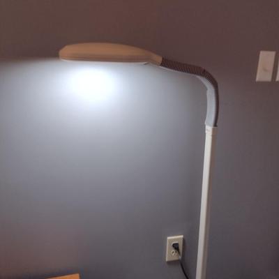 Verilux Floor Lamp