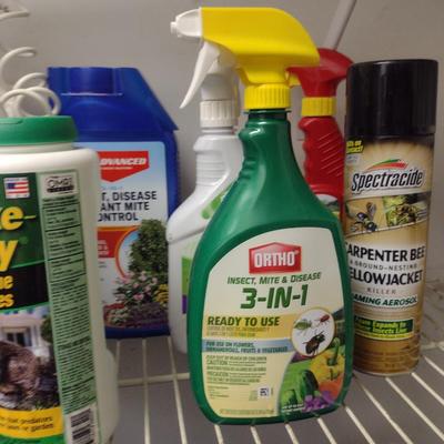 Collection of Lawn and Garden Accessories