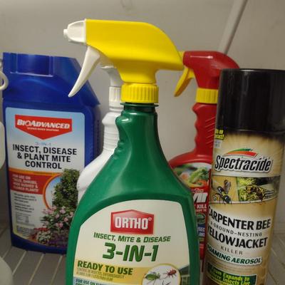 Collection of Lawn and Garden Accessories