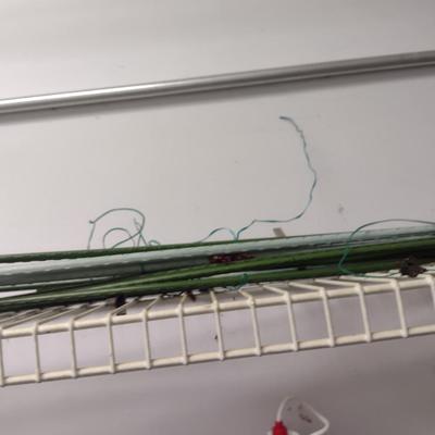 Collection of Lawn and Garden Accessories