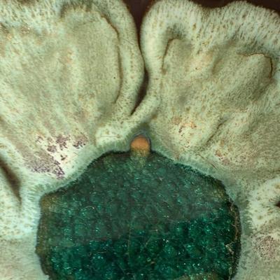 Vintage Mid-Century Style Drip-Glaze Art Pottery Bowl, Marked "KNOYWEN Art Ceramics, New York"