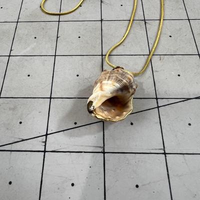 Gold Chain with Gold Trim on Shell NECKLACE 
