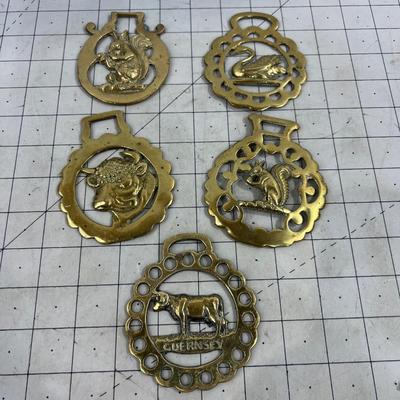 5 Horse Brasses all Animals; Squirrel Sheep Etc. 