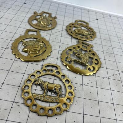5 Horse Brasses all Animals; Squirrel Sheep Etc. 