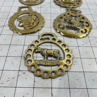 5 Horse Brasses all Animals; Squirrel Sheep Etc. 
