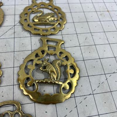 5 Horse Brasses all Animals; Squirrel Sheep Etc. 