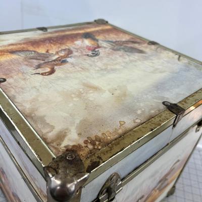 Wood Duck Trunk, Cube Shape