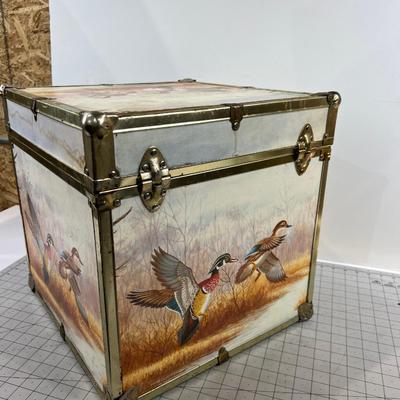 Wood Duck Trunk, Cube Shape