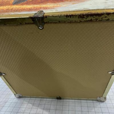 Wood Duck Trunk, Cube Shape