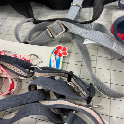 Pet Carrier, Leads, Smaller Dog