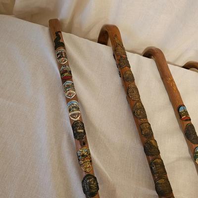 German Wanderstock Hiking Canes (BD-JS)