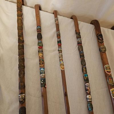 German Wanderstock Hiking Canes (BD-JS)