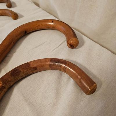 German Wanderstock Hiking Canes (BD-JS)