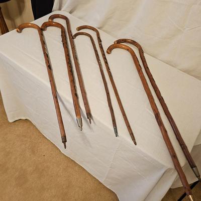 German Wanderstock Hiking Canes (BD-JS)