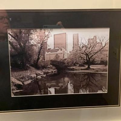 Large Vintage Central Park Photograph — Framed Black & White NYC Cityscape