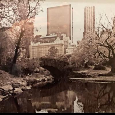 Large Vintage Central Park Photograph — Framed Black & White NYC Cityscape