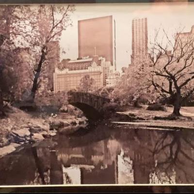 Large Vintage Central Park Photograph — Framed Black & White NYC Cityscape