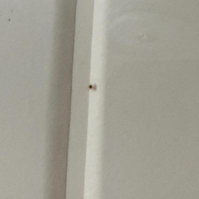 Shu Takahashi (1930-1987) Mid-Century Signed/Numbered