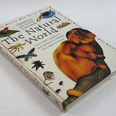 Sale Photo Thumbnail #104: In good used condition.