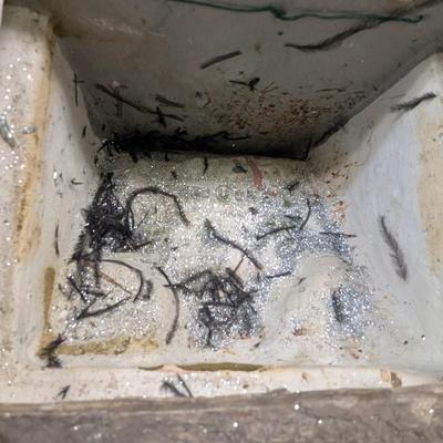 Sale Photo Thumbnail #199