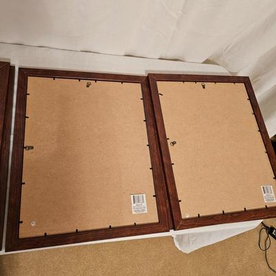 Assortment of Modern Wood Look Frames (BD-JS)