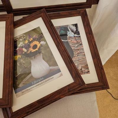 Assortment of Modern Wood Look Frames (BD-JS)
