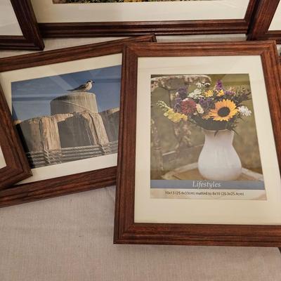 Assortment of Modern Wood Look Frames (BD-JS)