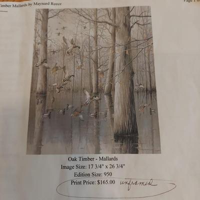 Signed/Numbered Print “Oak Timber - Mallards” by Maynard Reese (O-BBL)