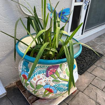 Flowered Ceramic Talvera large pot 20 X 20 X19 with Orchid