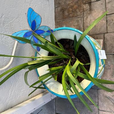 Flowered Ceramic Talvera large pot 20 X 20 X19 with Orchid