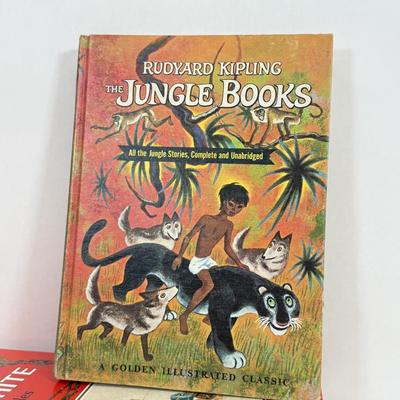 Sale Photo Thumbnail #350