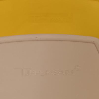 LOT 55: Vintage Tupperware Animal Jello Molds, Packette, Servalier & More