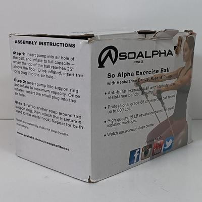 LOT 73: Pantoskope M-900 Diving Masks, Pool Tech Pool Ball Set, So Alpha Exercise Ball & 12" Bolus Feeding Set