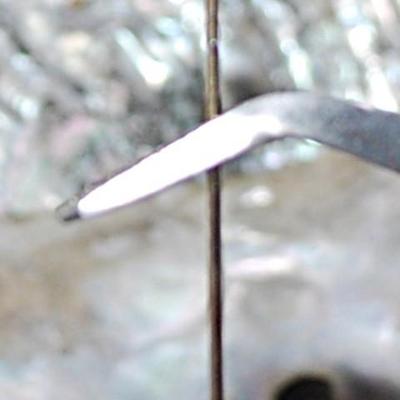 HEART with Letter "B" PIN (2½" L) with Pin Guard on a Gold Tone Setting