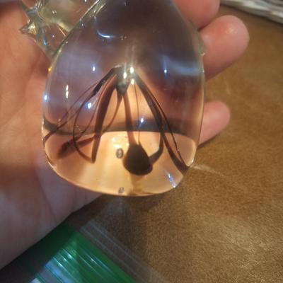 Sale Photo Thumbnail #369