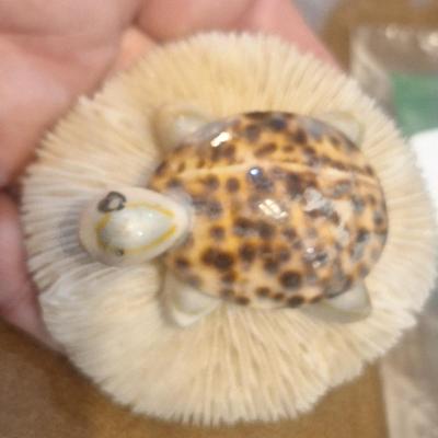 Sale Photo Thumbnail #409