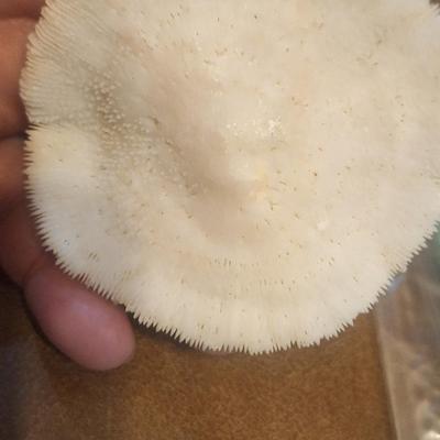 Sale Photo Thumbnail #408