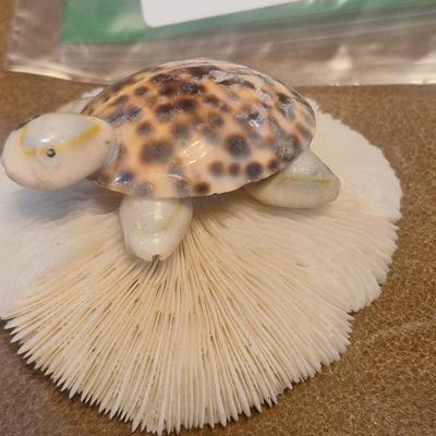 Sale Photo Thumbnail #407