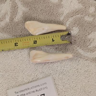 some kind of teeth, AI says buffalo teeth but we don’t' know