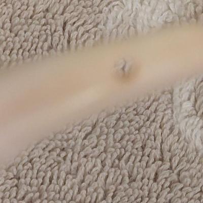 some kind of teeth, AI says buffalo teeth but we don’t' know