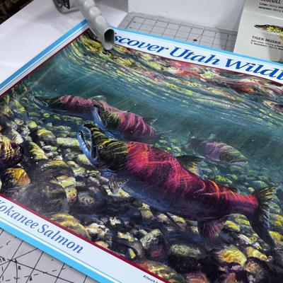 Utah Fishing Posters. (3) 