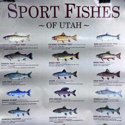 Utah Fishing Posters. (3) 