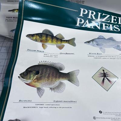 Utah Fishing Posters. (3) 