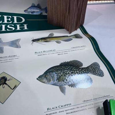 Utah Fishing Posters. (3) 