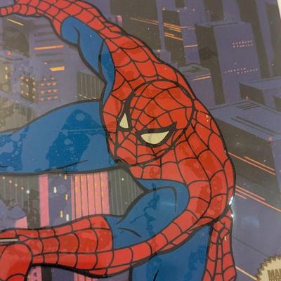 Marvel Studios Spiderman Collectors Hologram 3D Framed 16" x 13 1/4"