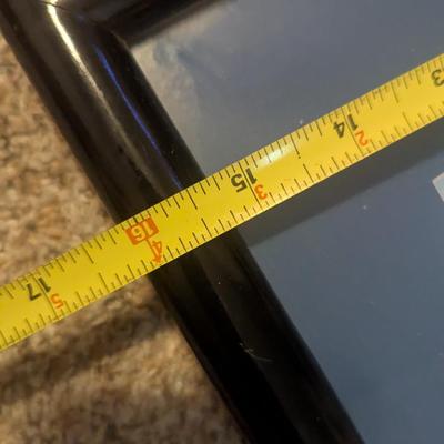 Warner Bros. Tweety Bird Animation Art 19" x 16"