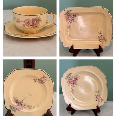 Homer Laughlin Century Briar Rose Dishware (K-SF)