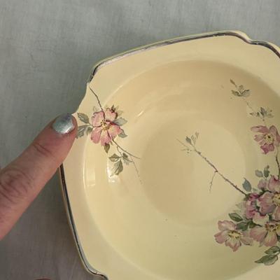 Homer Laughlin Century Briar Rose Dishware (K-SF)