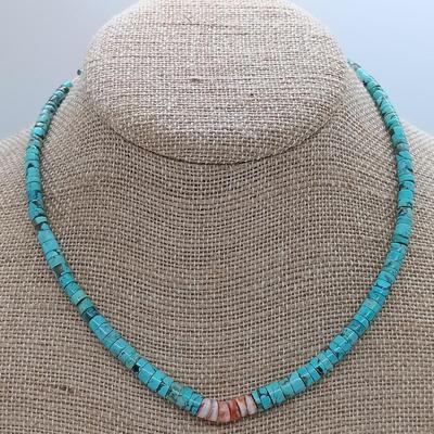LOT 22: Vintage Bone and Leather Beaded Necklace, Turquoise Heishi Bead Necklace & More- from estate of a Native American Jewelry...